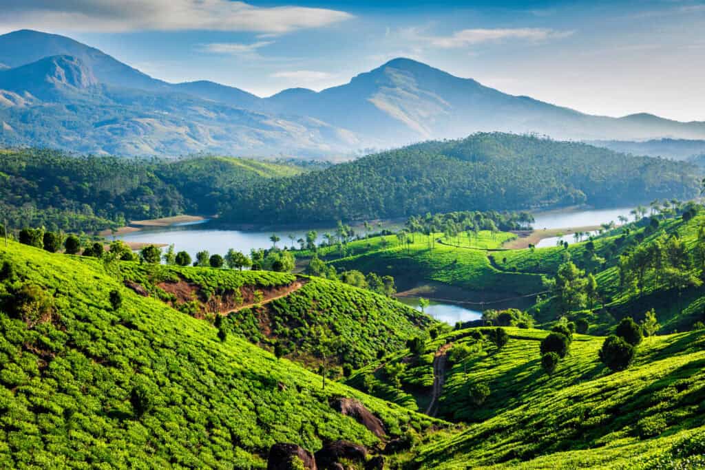 vecteezy tea plantations and river in hills kerala india 38566582