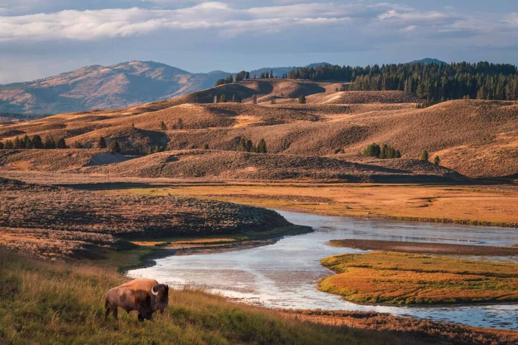 Best National Parks to Visit in the US: A Guide to 25+ Parks for Every Traveller 175 Best National Parks to Visit in the US: A Guide to 25+ Parks for Every Traveller